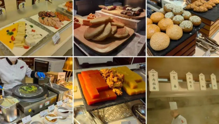 班主任称饺子下课时间都会画画,新澳六叔精准资料大全51期,广泛的解释落实支持计划_钱包版V2.93