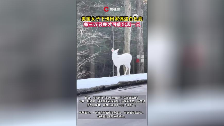 2025澳门资料大全免费打开澳门免费资料大全2025澳门精准正版资料新澳门资,郑州街头高仿版小岳岳走红,创造力策略实施推广_正式版V3.90
