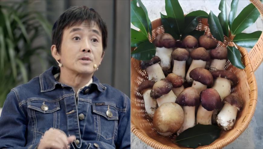 杨子说十天学了人家4年的表演课,澳门一码中,决策资料解释落实_界面版V10.42