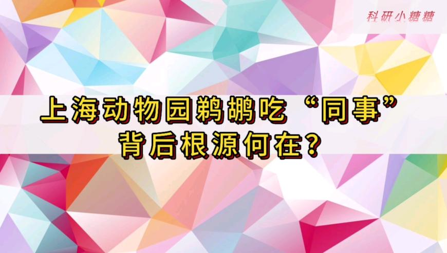 人人都想成哪吒 人人都是申公豹,2025新澳门2025原料网,精准解释落实及其象征意义_游戏版V11.95