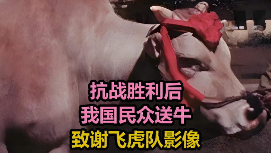 舅舅送一车新年礼 外甥女却笑不出来,管家婆一肖一码资料大全2025,创新典义解读_增强版V6.96